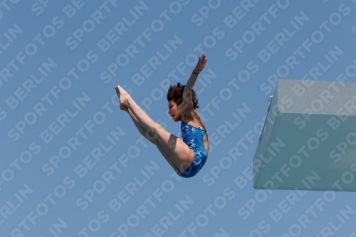 2017 - 8. Sofia Diving Cup 2017 - 8. Sofia Diving Cup 03012_20772.jpg