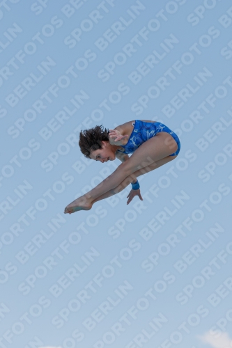 2017 - 8. Sofia Diving Cup 2017 - 8. Sofia Diving Cup 03012_20775.jpg