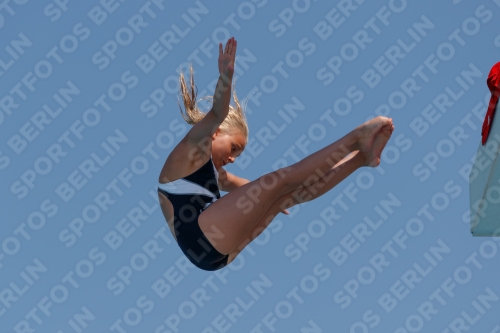2017 - 8. Sofia Diving Cup 2017 - 8. Sofia Diving Cup 03012_20782.jpg