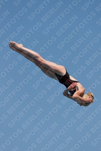 2017 - 8. Sofia Diving Cup 2017 - 8. Sofia Diving Cup 03012_20783.jpg