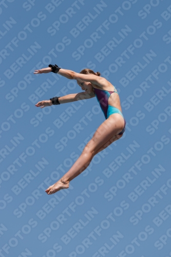 2017 - 8. Sofia Diving Cup 2017 - 8. Sofia Diving Cup 03012_20790.jpg