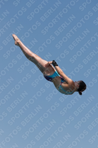 2017 - 8. Sofia Diving Cup 2017 - 8. Sofia Diving Cup 03012_20792.jpg
