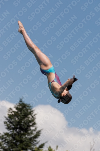 2017 - 8. Sofia Diving Cup 2017 - 8. Sofia Diving Cup 03012_20793.jpg