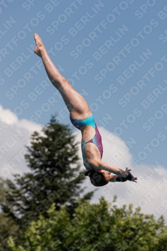 2017 - 8. Sofia Diving Cup 2017 - 8. Sofia Diving Cup 03012_20794.jpg