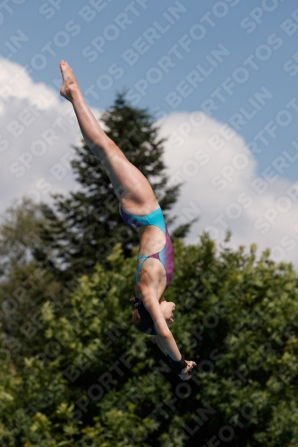 2017 - 8. Sofia Diving Cup 2017 - 8. Sofia Diving Cup 03012_20795.jpg