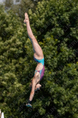 2017 - 8. Sofia Diving Cup 2017 - 8. Sofia Diving Cup 03012_20797.jpg