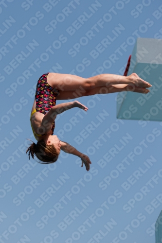 2017 - 8. Sofia Diving Cup 2017 - 8. Sofia Diving Cup 03012_20812.jpg