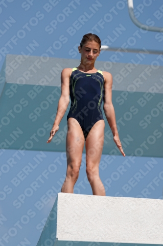 2017 - 8. Sofia Diving Cup 2017 - 8. Sofia Diving Cup 03012_20835.jpg