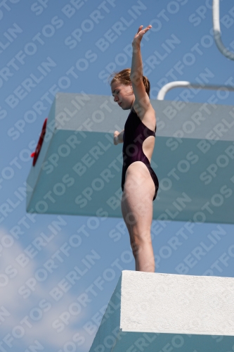 2017 - 8. Sofia Diving Cup 2017 - 8. Sofia Diving Cup 03012_20847.jpg