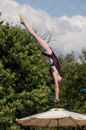 2017 - 8. Sofia Diving Cup 2017 - 8. Sofia Diving Cup 03012_20855.jpg