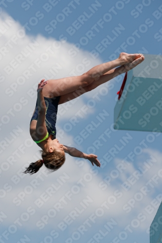 2017 - 8. Sofia Diving Cup 2017 - 8. Sofia Diving Cup 03012_20862.jpg