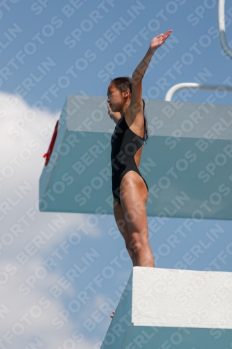 2017 - 8. Sofia Diving Cup 2017 - 8. Sofia Diving Cup 03012_20876.jpg