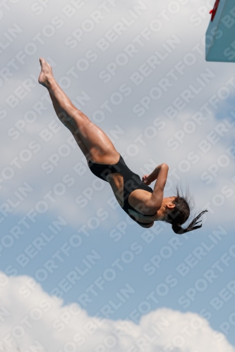 2017 - 8. Sofia Diving Cup 2017 - 8. Sofia Diving Cup 03012_20883.jpg