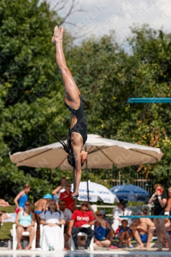 2017 - 8. Sofia Diving Cup 2017 - 8. Sofia Diving Cup 03012_20886.jpg