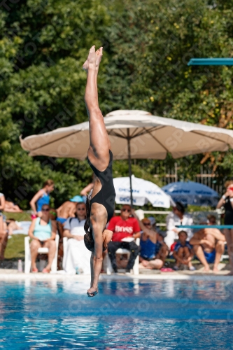 2017 - 8. Sofia Diving Cup 2017 - 8. Sofia Diving Cup 03012_20887.jpg