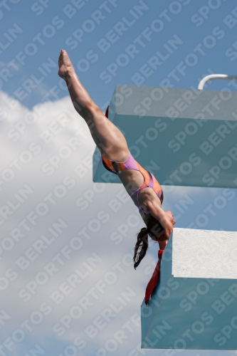 2017 - 8. Sofia Diving Cup 2017 - 8. Sofia Diving Cup 03012_20889.jpg