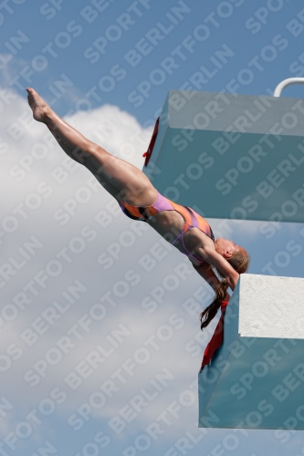2017 - 8. Sofia Diving Cup 2017 - 8. Sofia Diving Cup 03012_20890.jpg
