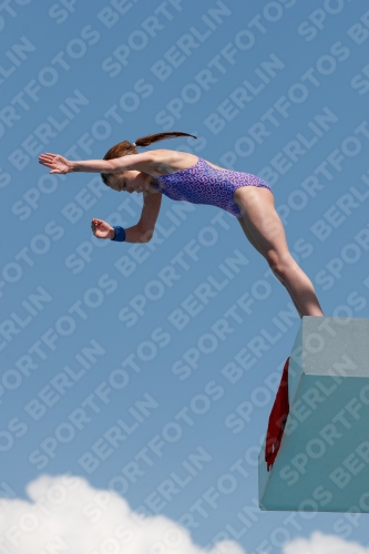 2017 - 8. Sofia Diving Cup 2017 - 8. Sofia Diving Cup 03012_20928.jpg