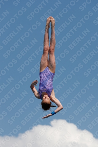 2017 - 8. Sofia Diving Cup 2017 - 8. Sofia Diving Cup 03012_20932.jpg