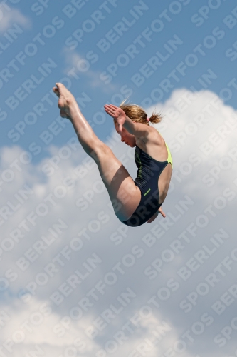 2017 - 8. Sofia Diving Cup 2017 - 8. Sofia Diving Cup 03012_20942.jpg