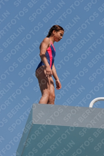 2017 - 8. Sofia Diving Cup 2017 - 8. Sofia Diving Cup 03012_20956.jpg