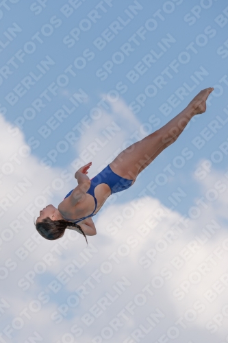 2017 - 8. Sofia Diving Cup 2017 - 8. Sofia Diving Cup 03012_20965.jpg