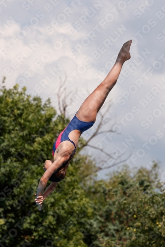 2017 - 8. Sofia Diving Cup 2017 - 8. Sofia Diving Cup 03012_20966.jpg