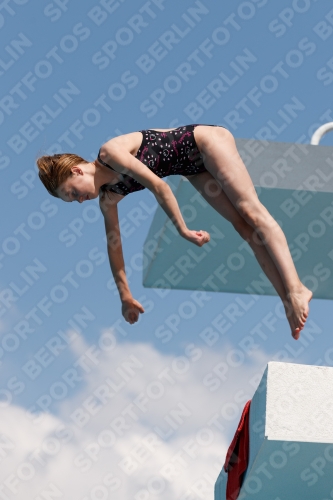 2017 - 8. Sofia Diving Cup 2017 - 8. Sofia Diving Cup 03012_20969.jpg