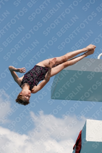 2017 - 8. Sofia Diving Cup 2017 - 8. Sofia Diving Cup 03012_20971.jpg