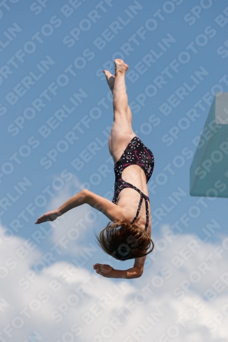 2017 - 8. Sofia Diving Cup 2017 - 8. Sofia Diving Cup 03012_20973.jpg
