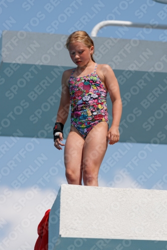 2017 - 8. Sofia Diving Cup 2017 - 8. Sofia Diving Cup 03012_20983.jpg