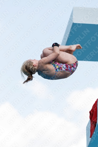 2017 - 8. Sofia Diving Cup 2017 - 8. Sofia Diving Cup 03012_20986.jpg