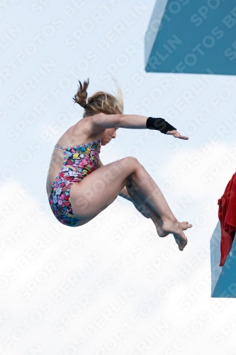 2017 - 8. Sofia Diving Cup 2017 - 8. Sofia Diving Cup 03012_20988.jpg