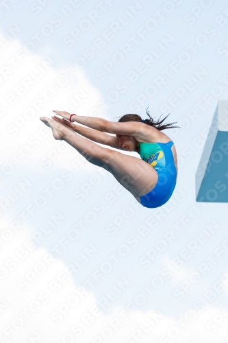 2017 - 8. Sofia Diving Cup 2017 - 8. Sofia Diving Cup 03012_20995.jpg