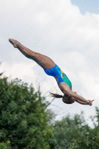 2017 - 8. Sofia Diving Cup 2017 - 8. Sofia Diving Cup 03012_20999.jpg