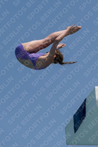 2017 - 8. Sofia Diving Cup 2017 - 8. Sofia Diving Cup 03012_21001.jpg