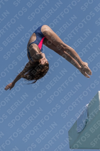 2017 - 8. Sofia Diving Cup 2017 - 8. Sofia Diving Cup 03012_21026.jpg