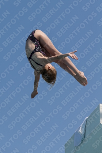 2017 - 8. Sofia Diving Cup 2017 - 8. Sofia Diving Cup 03012_21034.jpg