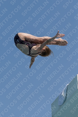 2017 - 8. Sofia Diving Cup 2017 - 8. Sofia Diving Cup 03012_21035.jpg