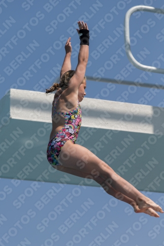2017 - 8. Sofia Diving Cup 2017 - 8. Sofia Diving Cup 03012_21046.jpg