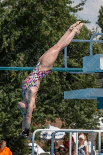 2017 - 8. Sofia Diving Cup 2017 - 8. Sofia Diving Cup 03012_21048.jpg
