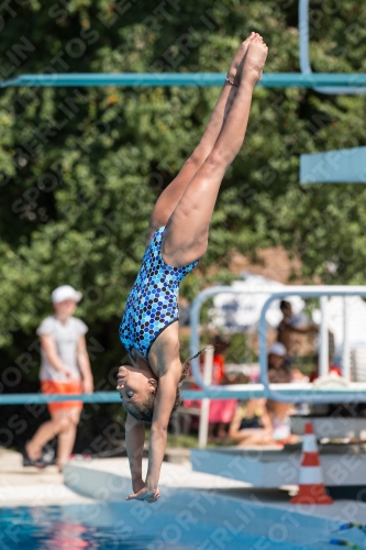 2017 - 8. Sofia Diving Cup 2017 - 8. Sofia Diving Cup 03012_21063.jpg