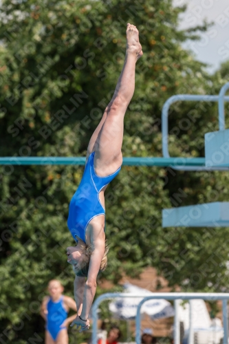 2017 - 8. Sofia Diving Cup 2017 - 8. Sofia Diving Cup 03012_21067.jpg
