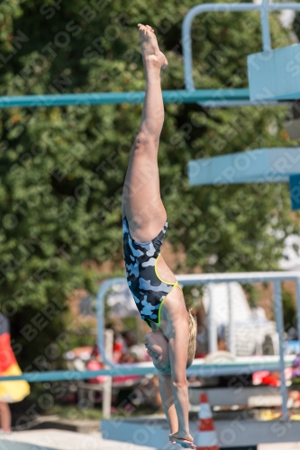 2017 - 8. Sofia Diving Cup 2017 - 8. Sofia Diving Cup 03012_21073.jpg