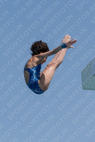 2017 - 8. Sofia Diving Cup 2017 - 8. Sofia Diving Cup 03012_21079.jpg