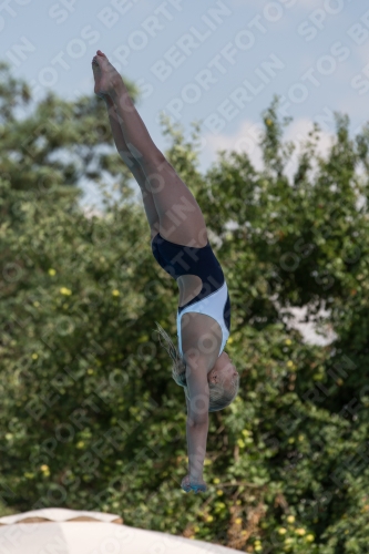 2017 - 8. Sofia Diving Cup 2017 - 8. Sofia Diving Cup 03012_21089.jpg
