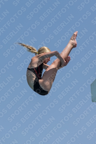 2017 - 8. Sofia Diving Cup 2017 - 8. Sofia Diving Cup 03012_21097.jpg