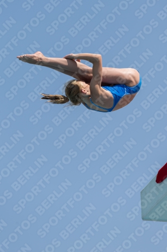 2017 - 8. Sofia Diving Cup 2017 - 8. Sofia Diving Cup 03012_21128.jpg