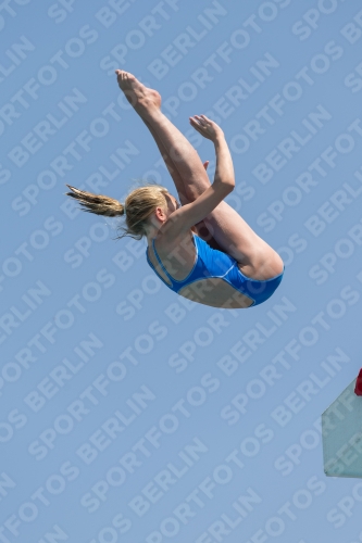 2017 - 8. Sofia Diving Cup 2017 - 8. Sofia Diving Cup 03012_21129.jpg