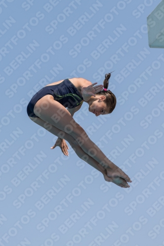 2017 - 8. Sofia Diving Cup 2017 - 8. Sofia Diving Cup 03012_21141.jpg